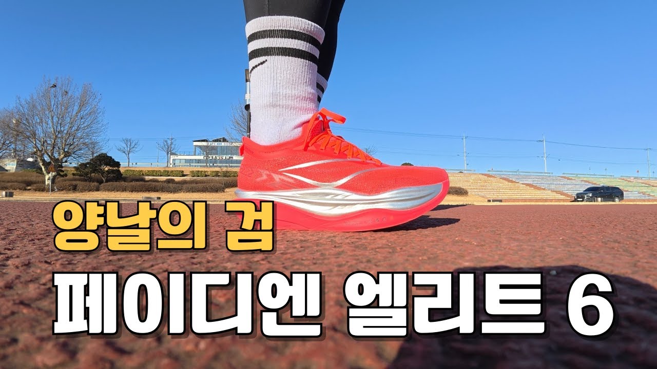 일본마라톤 신기록 2시간4분 / 페이디엔 엘리트 6 리뷰