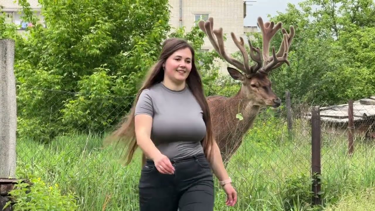 Як починалася наша дружба? #Irysik3076 #deer #animals #олень #оленьборис #оленьборя  #оленьборька 