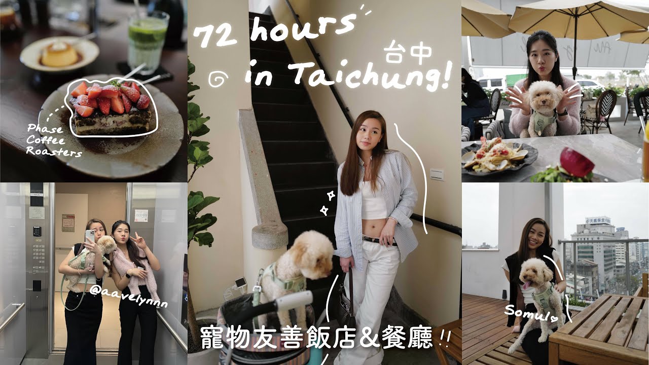 台中寵物友善飯店🐶 & 寶藏咖啡廳🌟｜帶毛孩的好去處! ｜台中vlog❤️