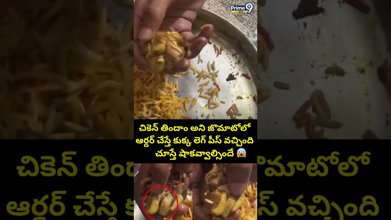 చికెన్ తిందాం అని జొమాటోలో ఆర్డర్ చేస్తే కుక్క లెగ్ పీస్ వచ్చింది | Prime9 News