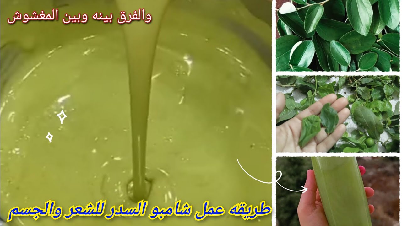 طريقه عمل شامبو السدر ومطحون السدر الأصلي‼️الطريقه الصحيحه لعمل شامبو السدر للشعر والبشره✅