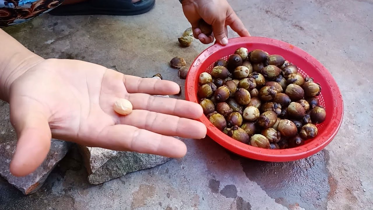 Como Cozinhar coco Licuri