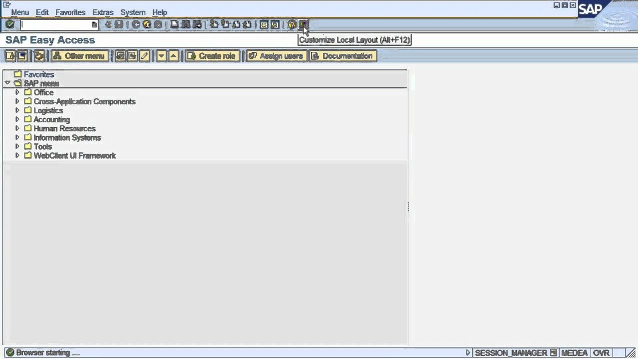 FS1. SAP tutorial: How to navigate in SAP ERP