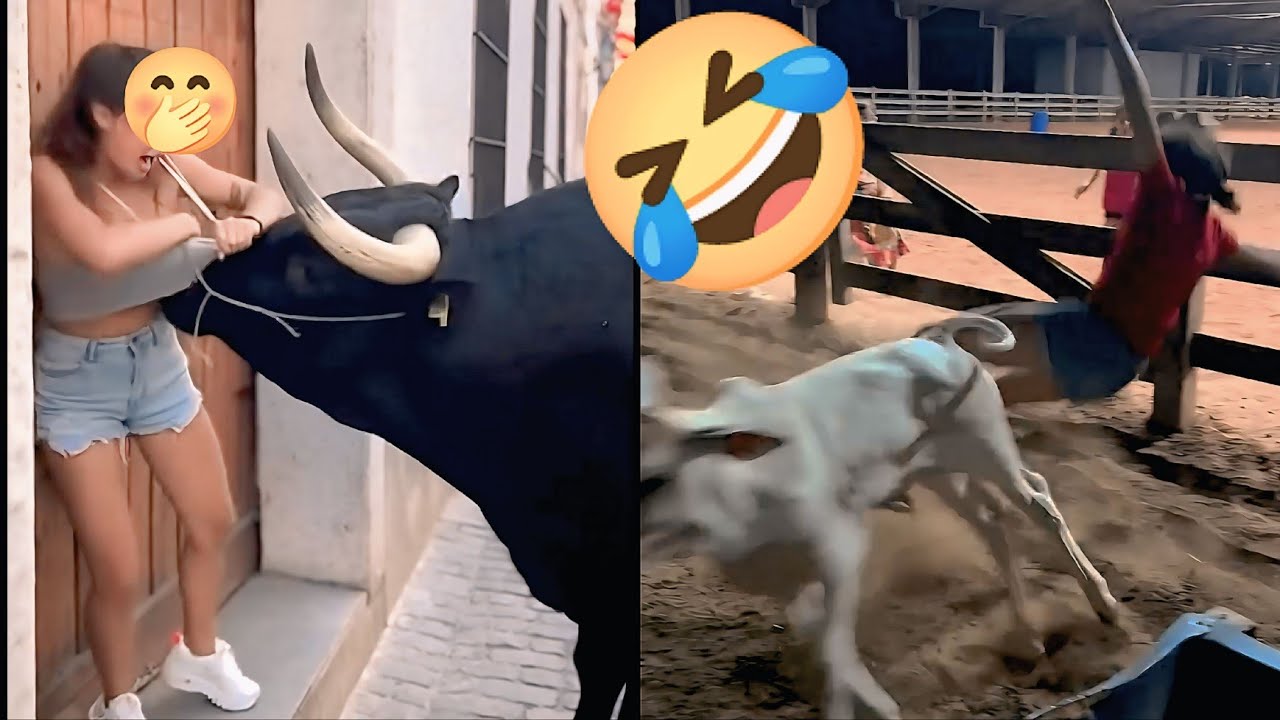 SI PALING RANDOM PART 39❗VIDEO LUCU BIKIN NGAKAK❗lucu-lucu bikin sakit perut❗komedi lucu❗#funny 