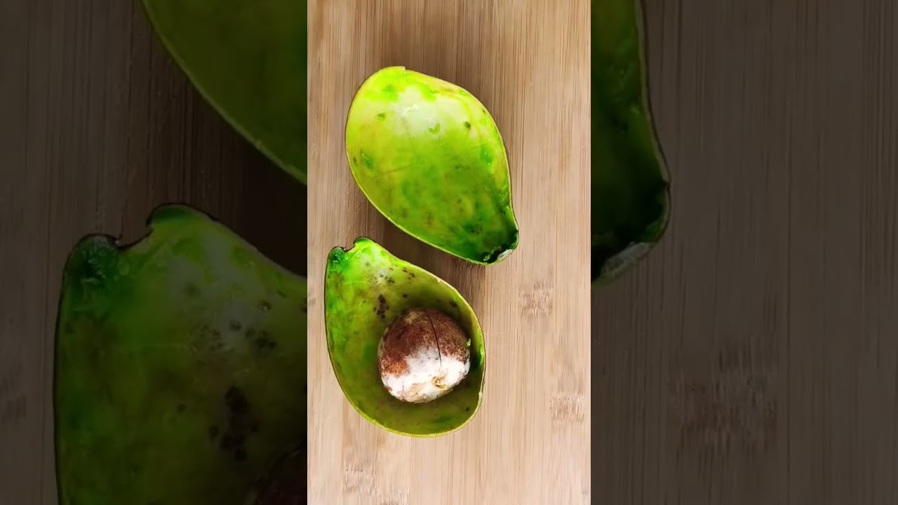 Avocado Me-Time                #shorts #avocado #healthy  #simple #metime #eating #passion #cuisine