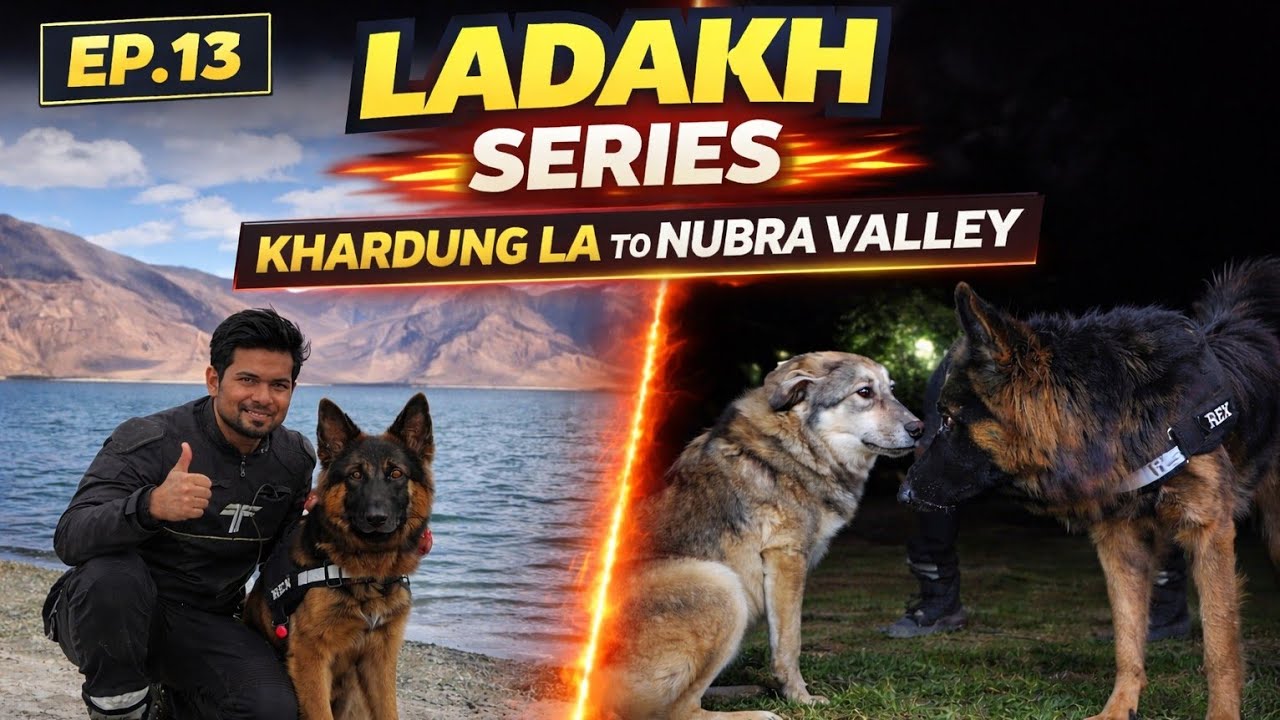 REX IN NUBRA VALLEY ! THE MOST BEAUTIFUL VALLEY IN LADAKH /KHARDUNG LA TO DISKIT /NUBRA VALLEY