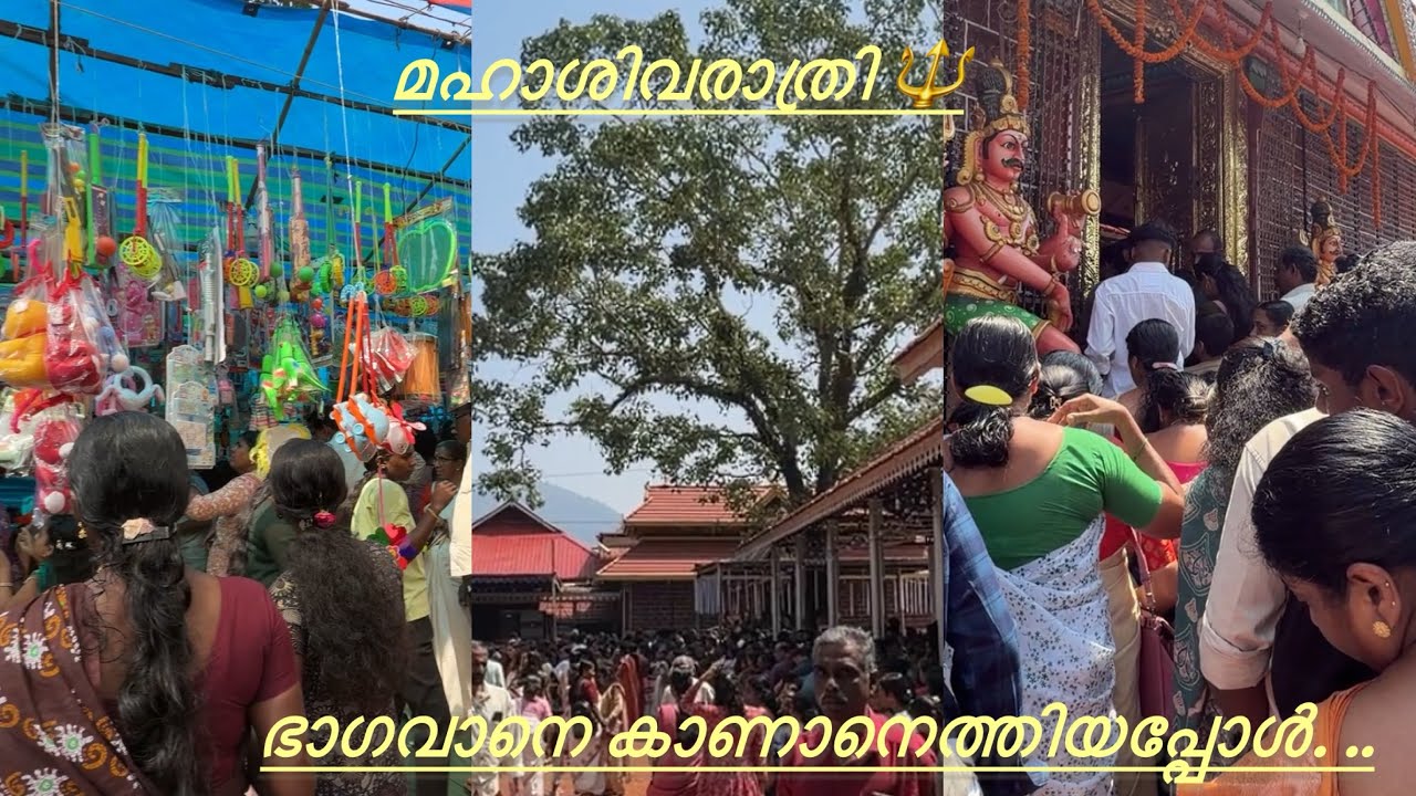 തികിലും തിരക്കിലുംപ്പെട്ട എന്റെ ശിവരാത്രി ഒരിക്കൽ ദിവസം ഇങ്ങനെ 🫵||#sivarathri ||#malayalamvlog 