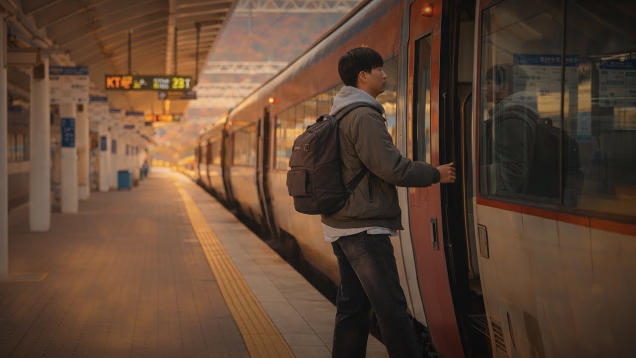 평화로운 기차 여행의 모든 것 | 한국 기차 여행 몰아보기 (서해금빛열차, 남도해양열차, 동해산타열차)