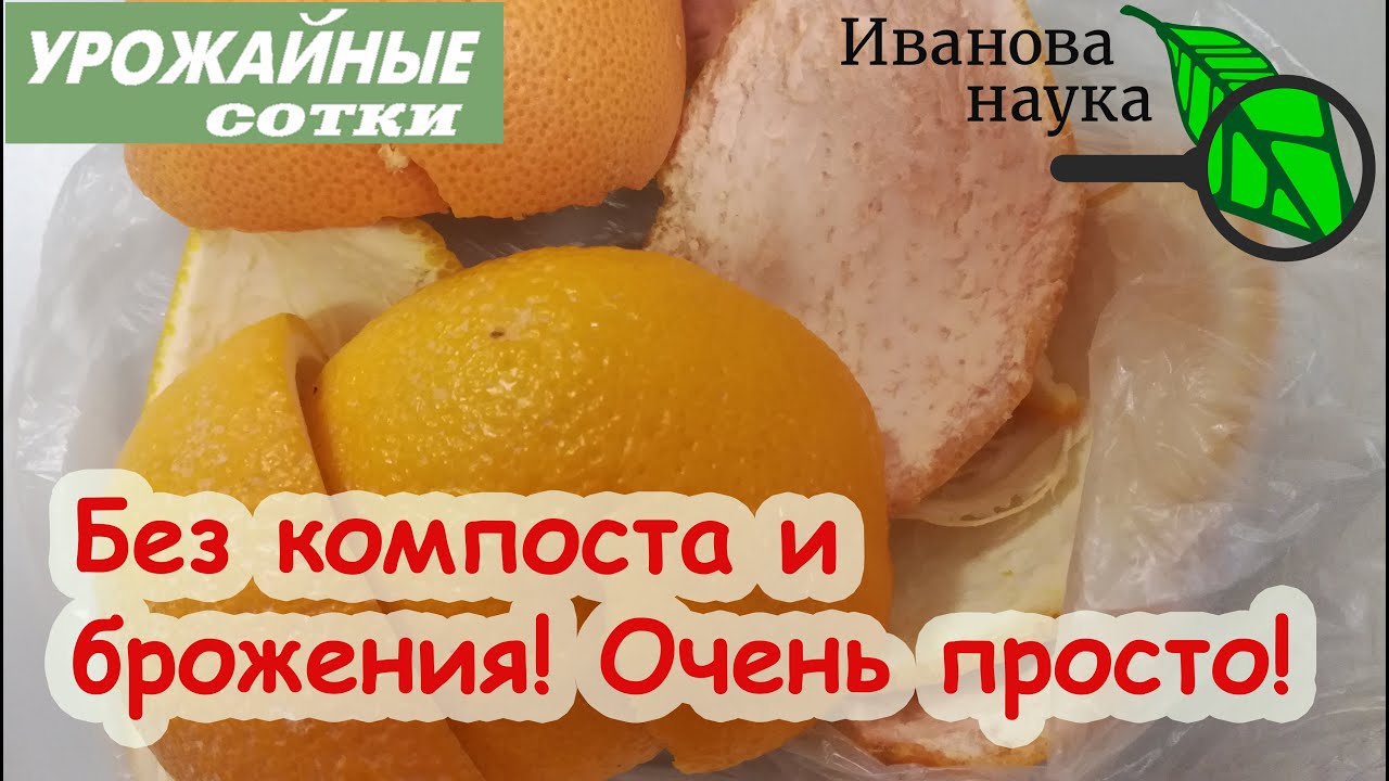 Теперь собираю ГОРАЗДО БОЛЬШЕ! Эти корки - ценное удобрение для плодородия и урожая!