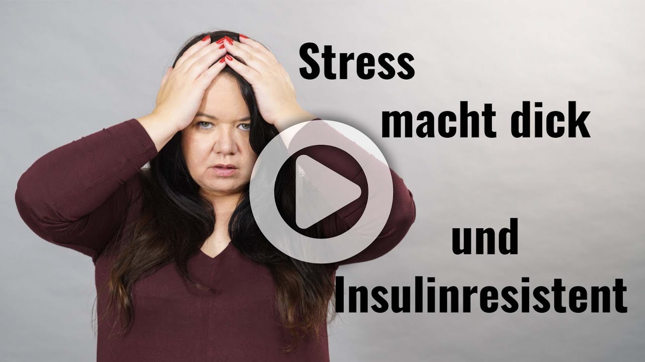 Stress macht dick und führt zur Insulinresistenz