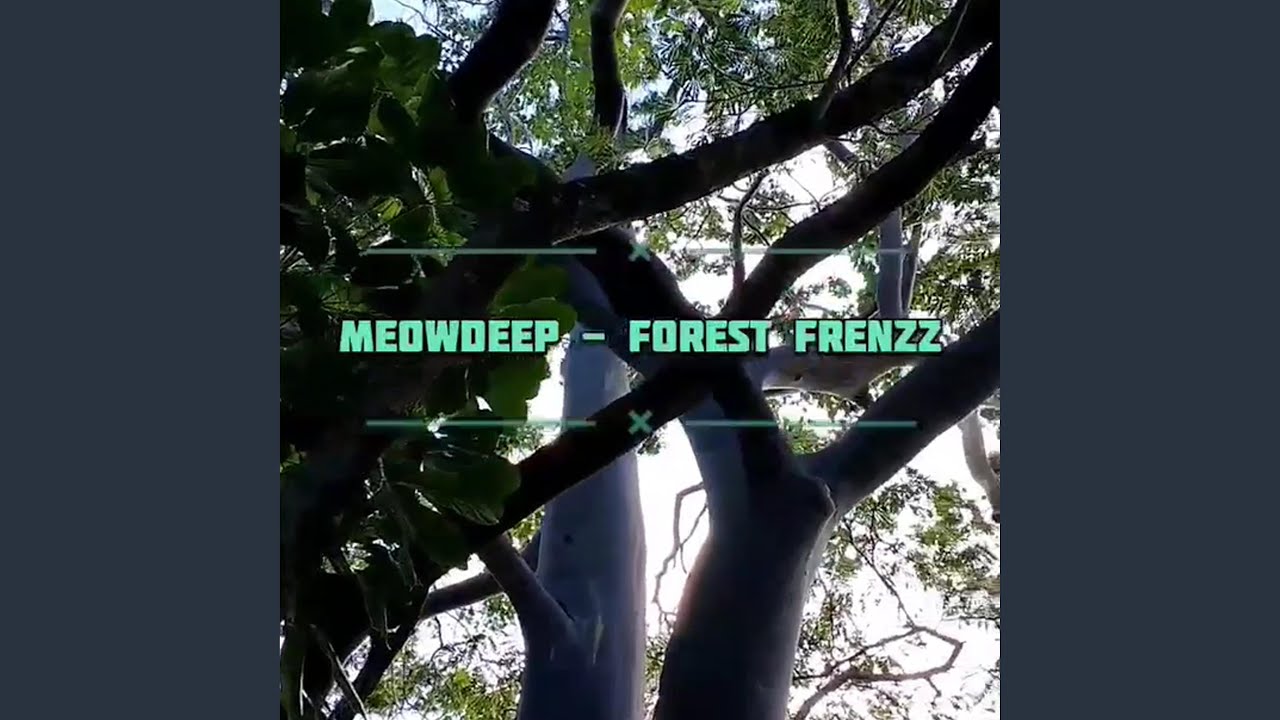 Forest Frenzz