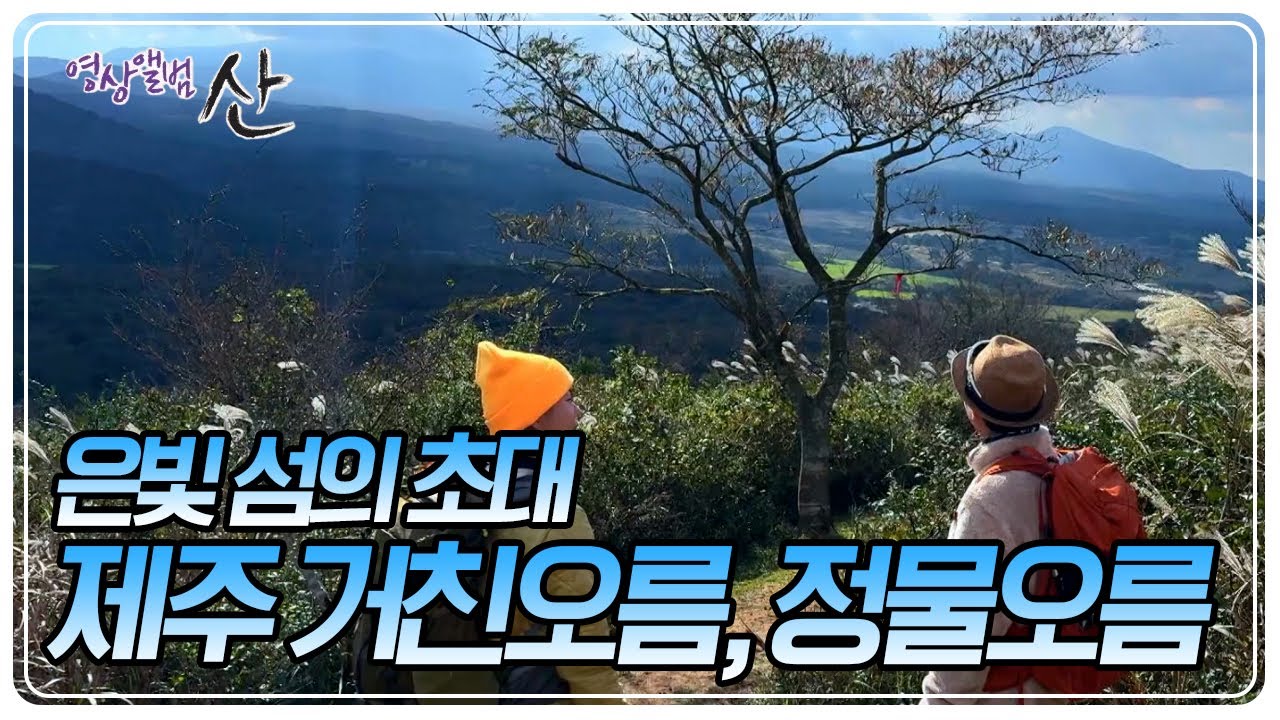 신비롭고도 순수한 자연을 간직한 제주 거친오름, 정물오름으로의 여정 [영상앨범 산] KBS 241208 방송
