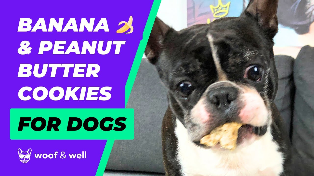BANANA 🍌 & PEANUT BUTTER COOKIES 🍪 FOR DOGS 