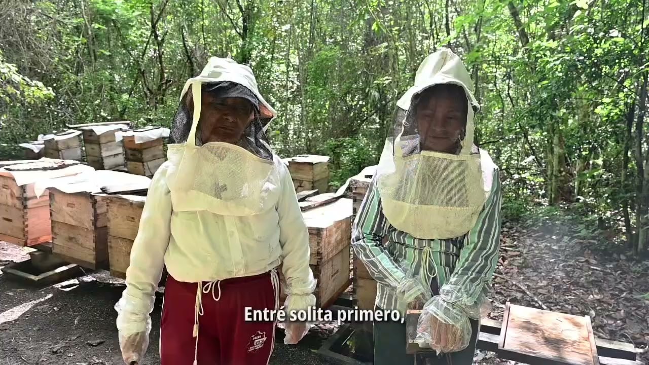 🍯La #MielBienestar cuenta historias de trabajo y amor por nuestra tierra.