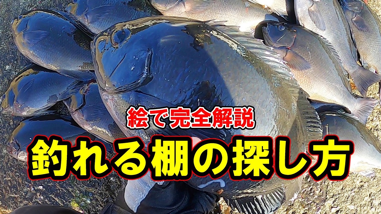【市江　第三四ッ島】釣れる棚の見つけ方を図解で徹底解説！これをすれば爆釣間違いなし。