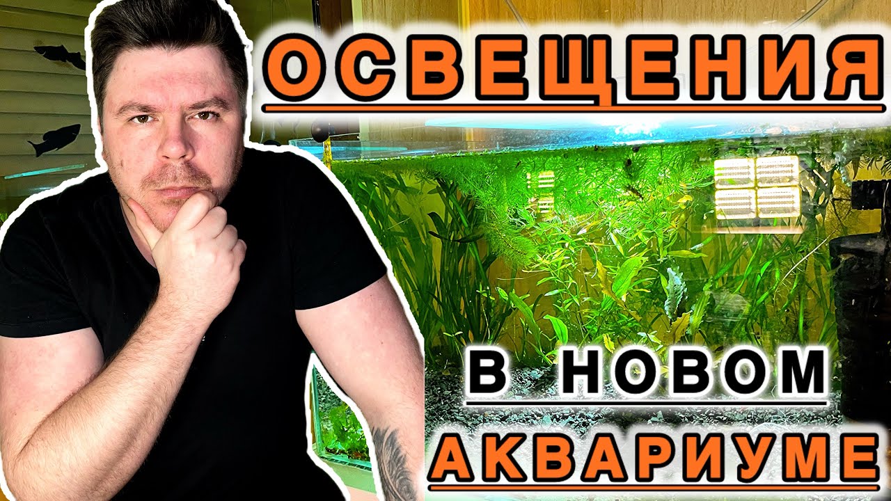 Сколько часов должен гореть свет в аквариуме?