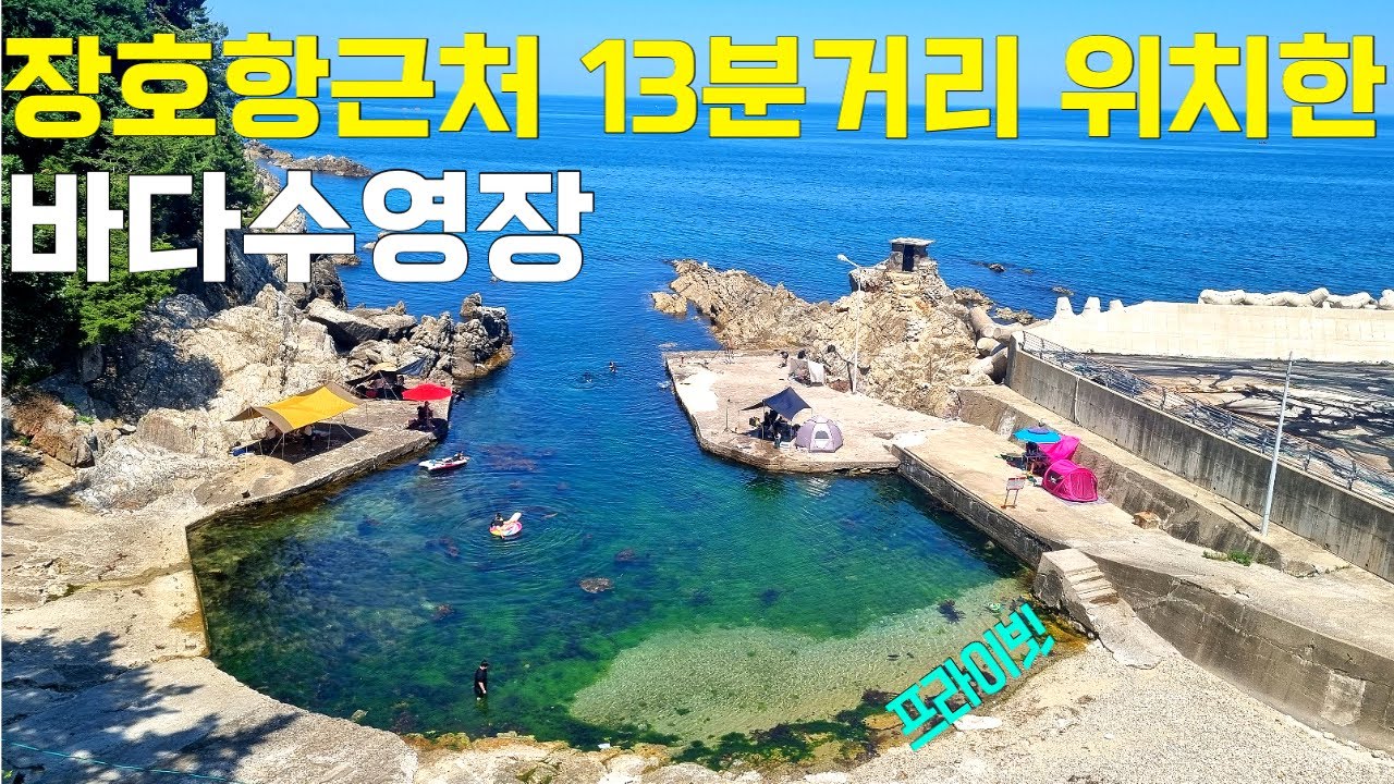 삼척 장호항이 질렸다면? 장호항 근교 나만알고싶은 바다수영장