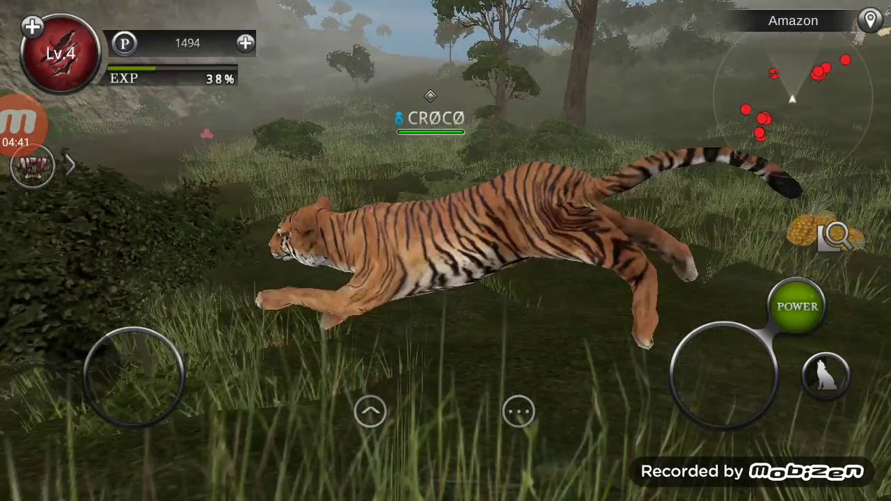 Gameplay Tiger - Wild Animals Online