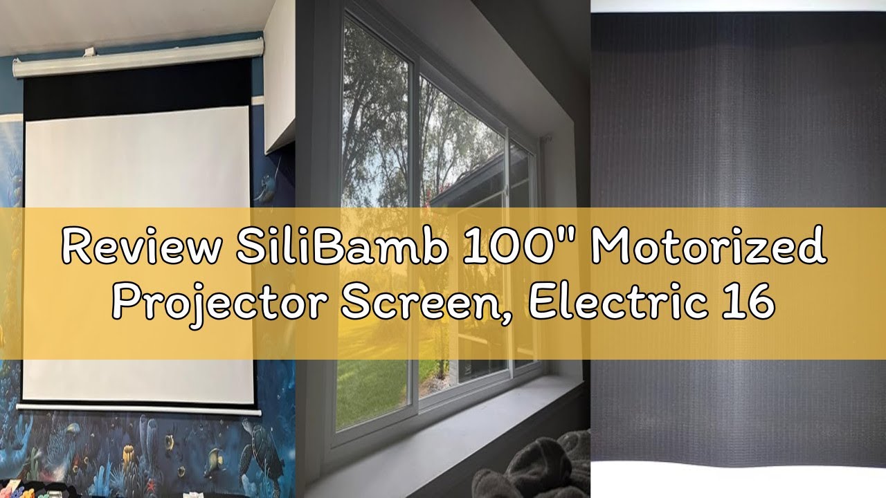 Review SiliBamb 100