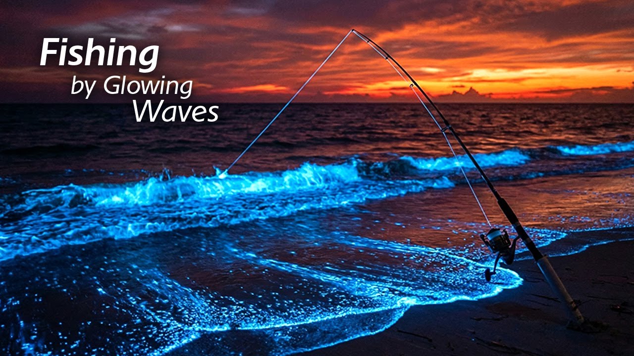 Fishing by Glowing Waves | 1 Hour Night Ocean Ambience