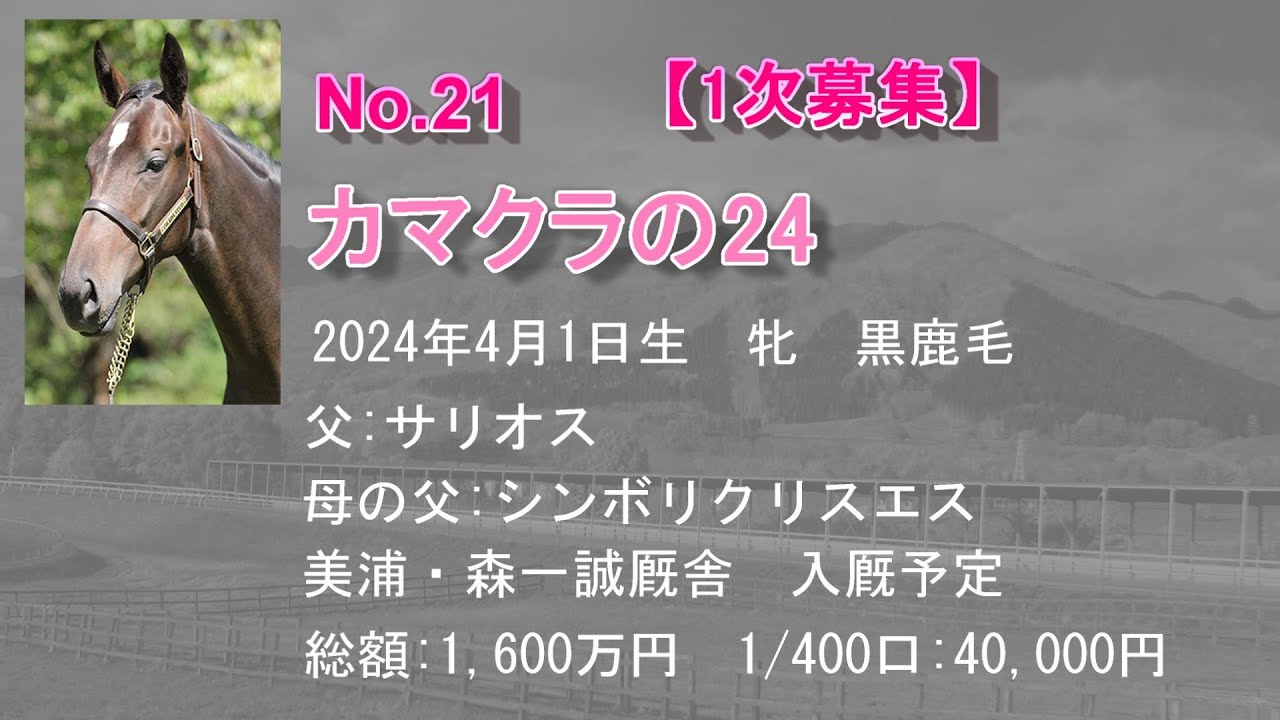 募集No.21 カマクラの24（父:サリオス）