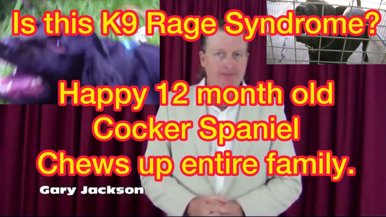 EP 59. K9 Rage Syndrome footage