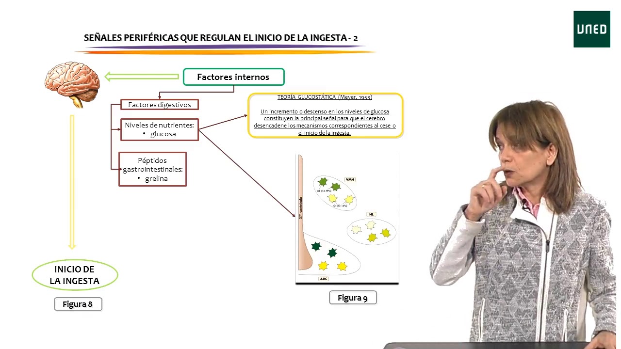 Conducta de ingesta 1 parte