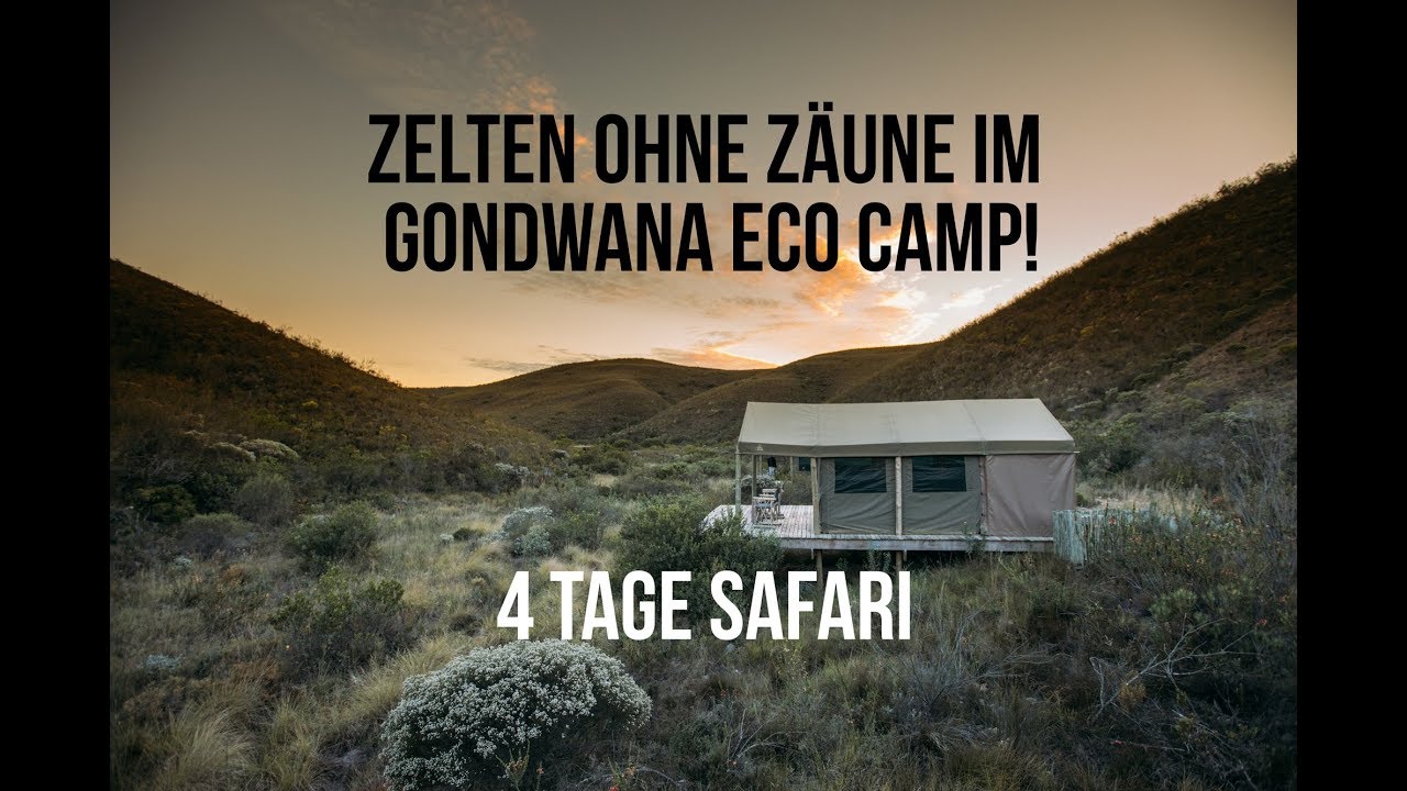 UNGLAUBLICHE ERFAHRUNGEN IM GONDWANA ECO CAMP! (SO VIELE TIERE 😱)
