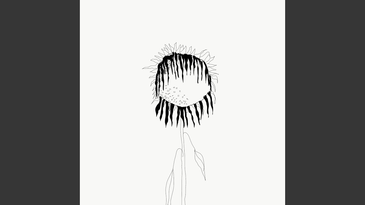Sonnenblumenfeld