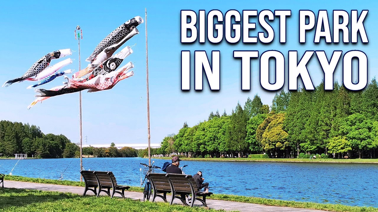 Biggest Park in Tokyo's 23 Wards: MIZUMOTO PARK (Full Tour) | JAPAN WALKING TOURS