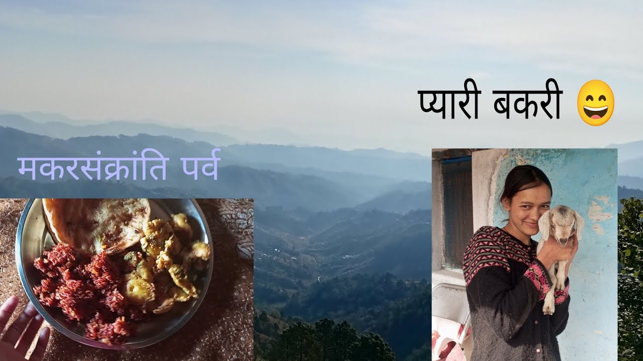 पूरा कद्दू सड़ गया 😱😥। मकरसंक्रांति की शुभकामनाएं 🎉🎇 #vlog #phadilifestyle #makrsankrant2026 