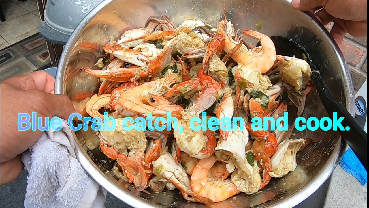 Catching Blue Crab in Mobile, AL CrossWay