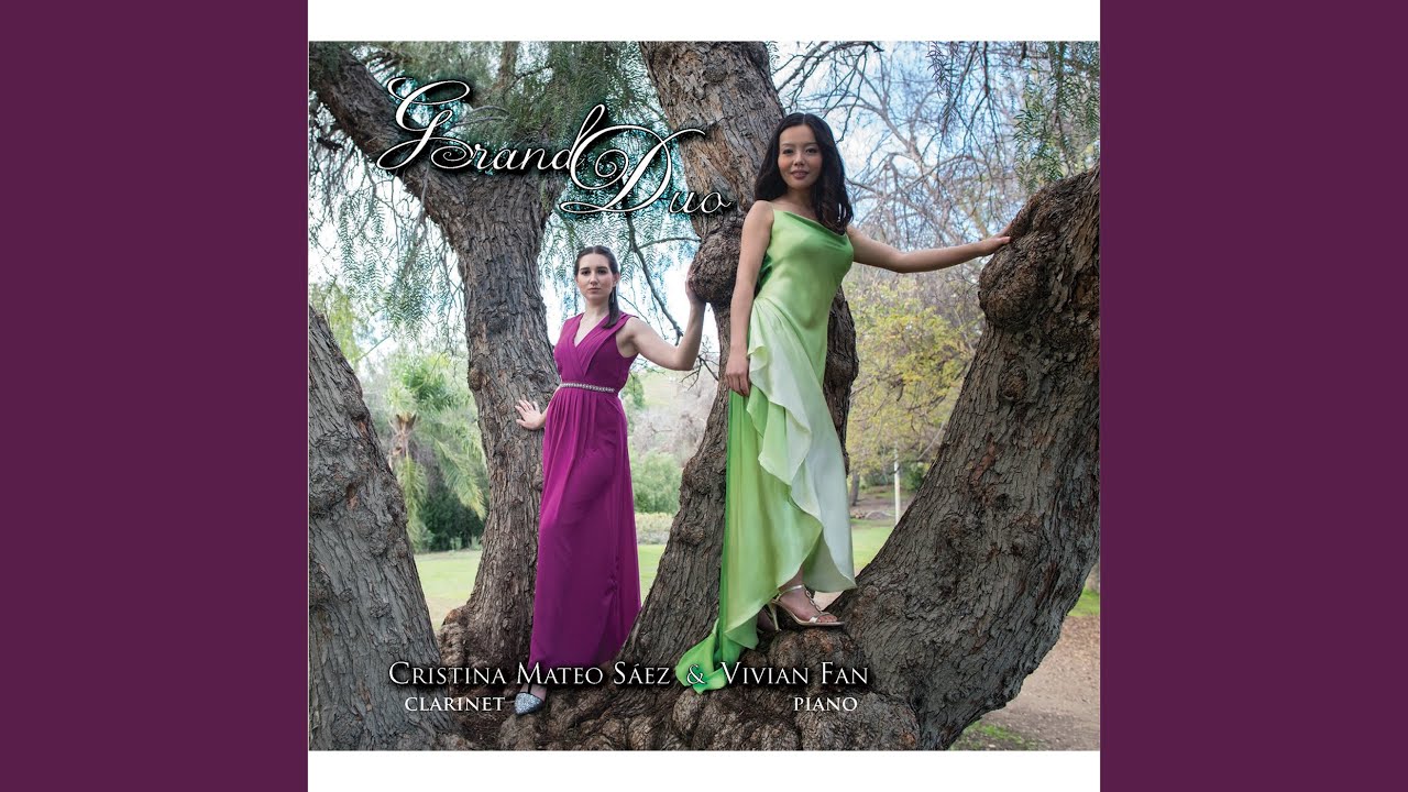 Grand Duo Concertant for Clarinet and Piano, Op. 48: I. Allegro con fuoco