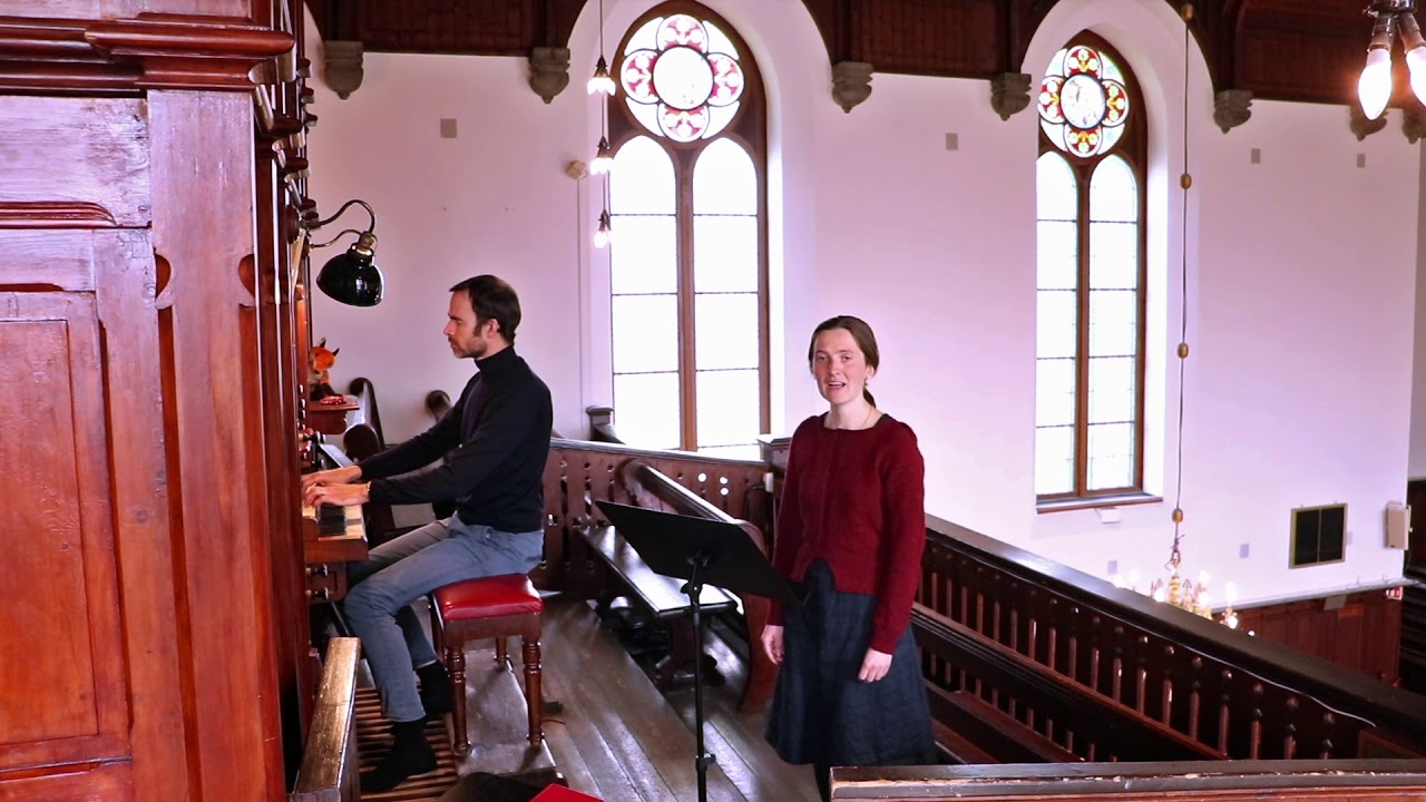 Hennes sterke vingar