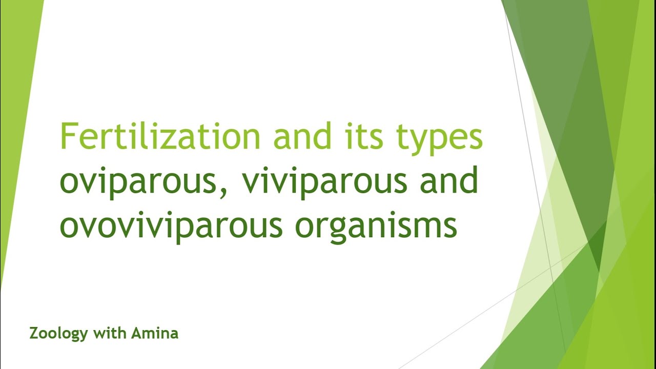 Fertilization and its types | Oviparous, viviparous and ovoviviparous animals