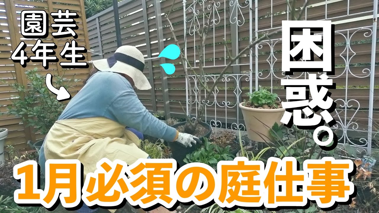 【春庭準備】ガーデニング初心者が、1月に絶対終わらせたい庭仕事をした結果｜小さな庭のガーデニング