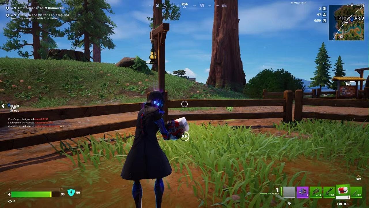 Fortnite Solo