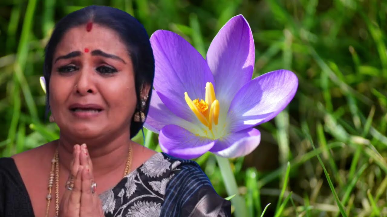 Chinna Marumagal Serial Upcoming Episode Review March 02 | 2026