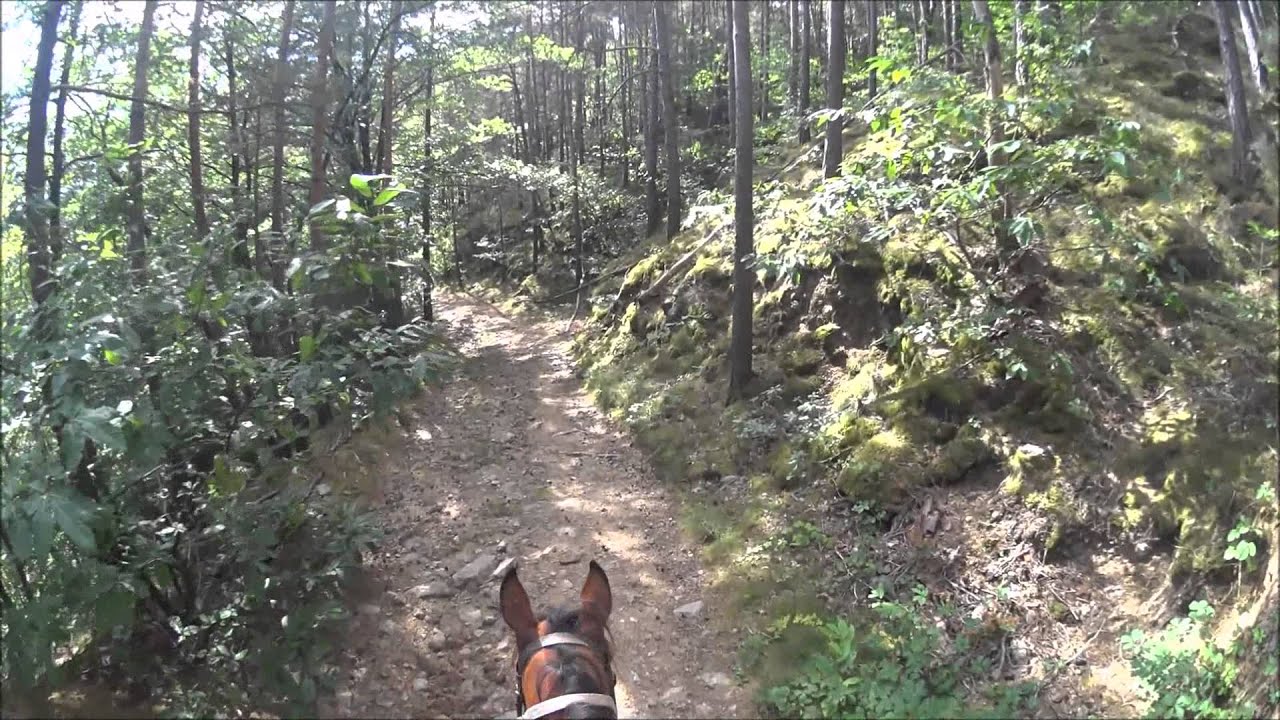 Rando cheval Ardeche