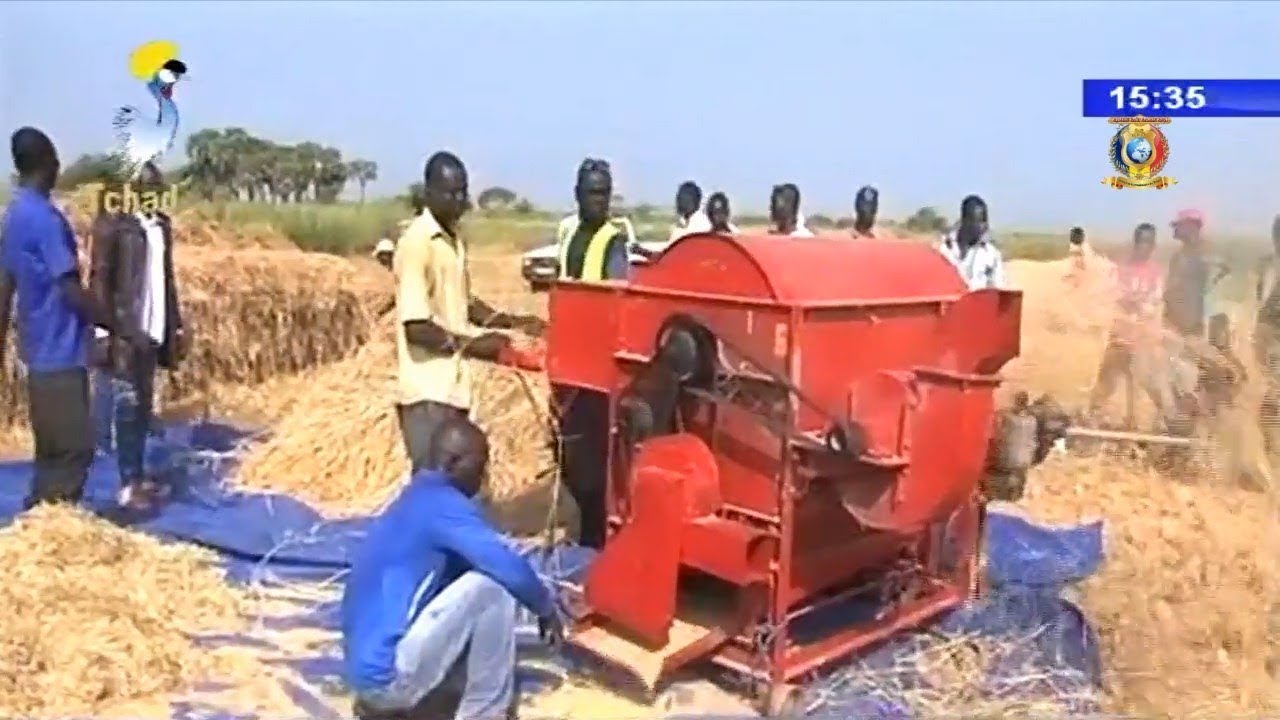 PRODUCTION DU RIZ BLANC -  UNE SEMAINE DANS DJOUMANE