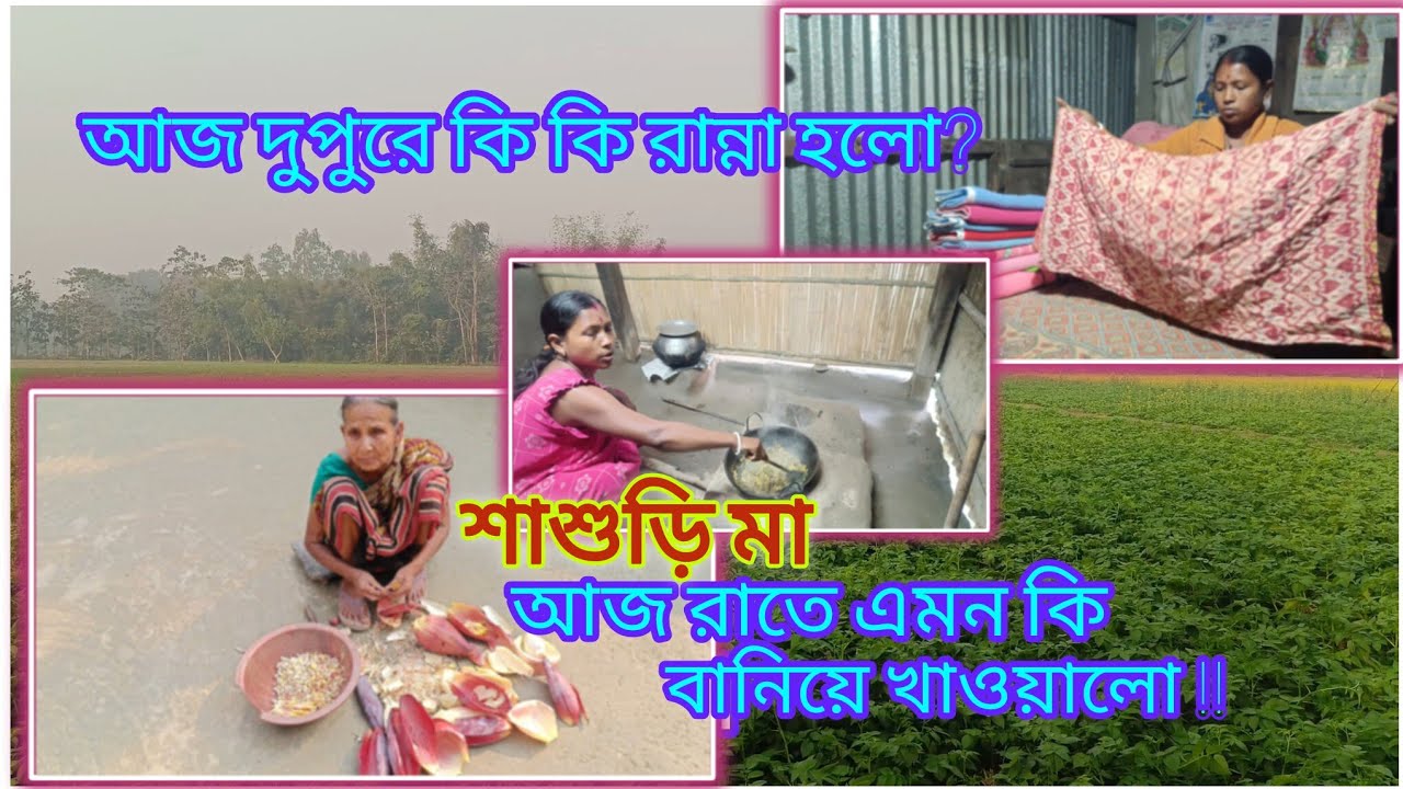 ।।। শাশুড়ি মা আজ রাতে এমন কি খাওয়ালো!! আজ দুপুরে কি রান্না হলো? 