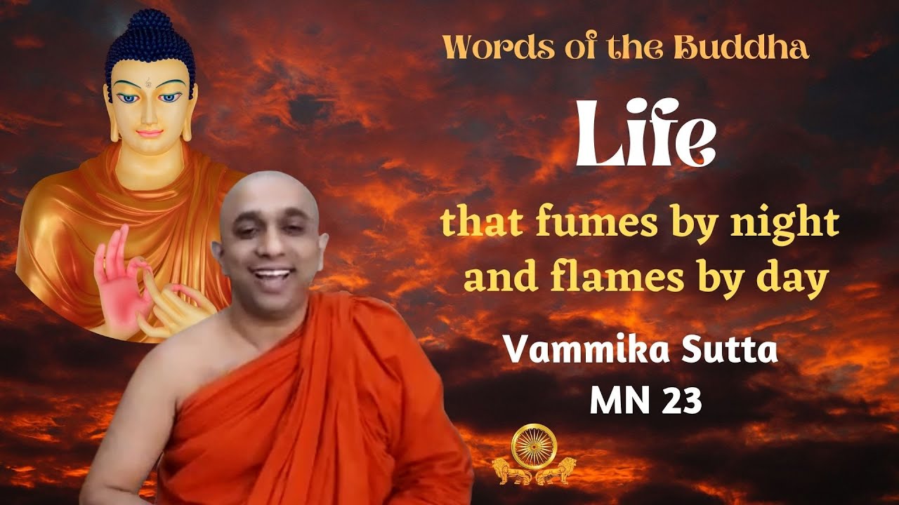 Vammika Sutta Life The Fumes by Night and Flames by Day MN 23