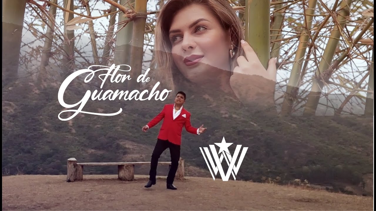 FLOR DE GUAMACHO - WILFREDO VEGAS (Versión)