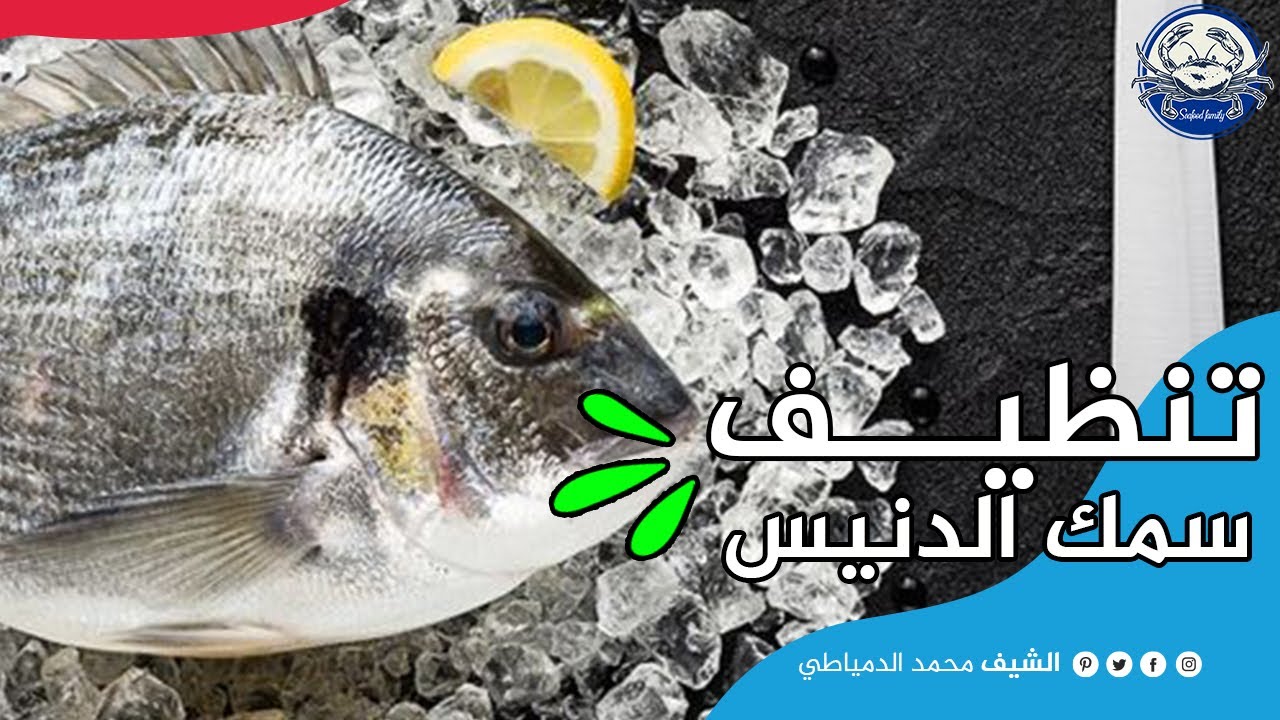 أسهل طريقة تنظيف سمك الدنيس | الشيف محمد الدمياطي