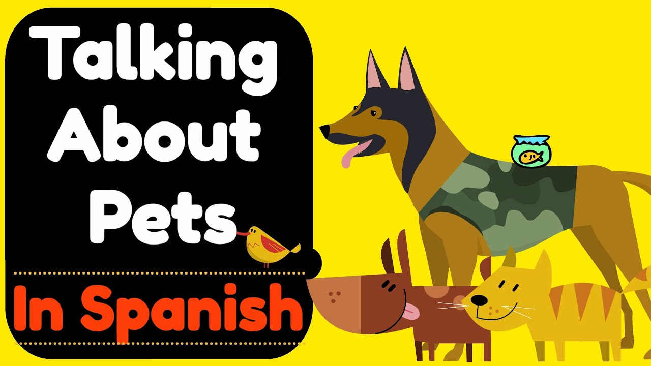 Animals and Pets in SPANISH