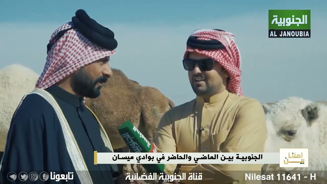انواع واسماء الابل عند البدو في ميسان || برنامج بين اهلنا