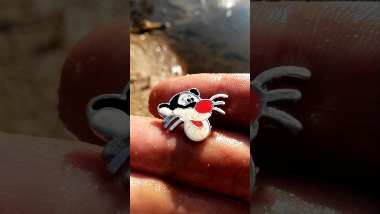 Found a strange find near the river