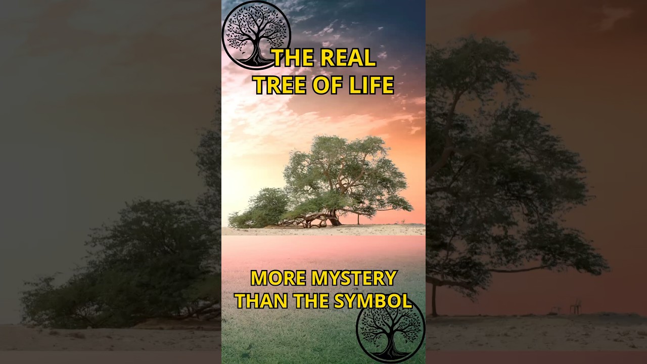 This Tree Survives in a Desert—And No One Knows How