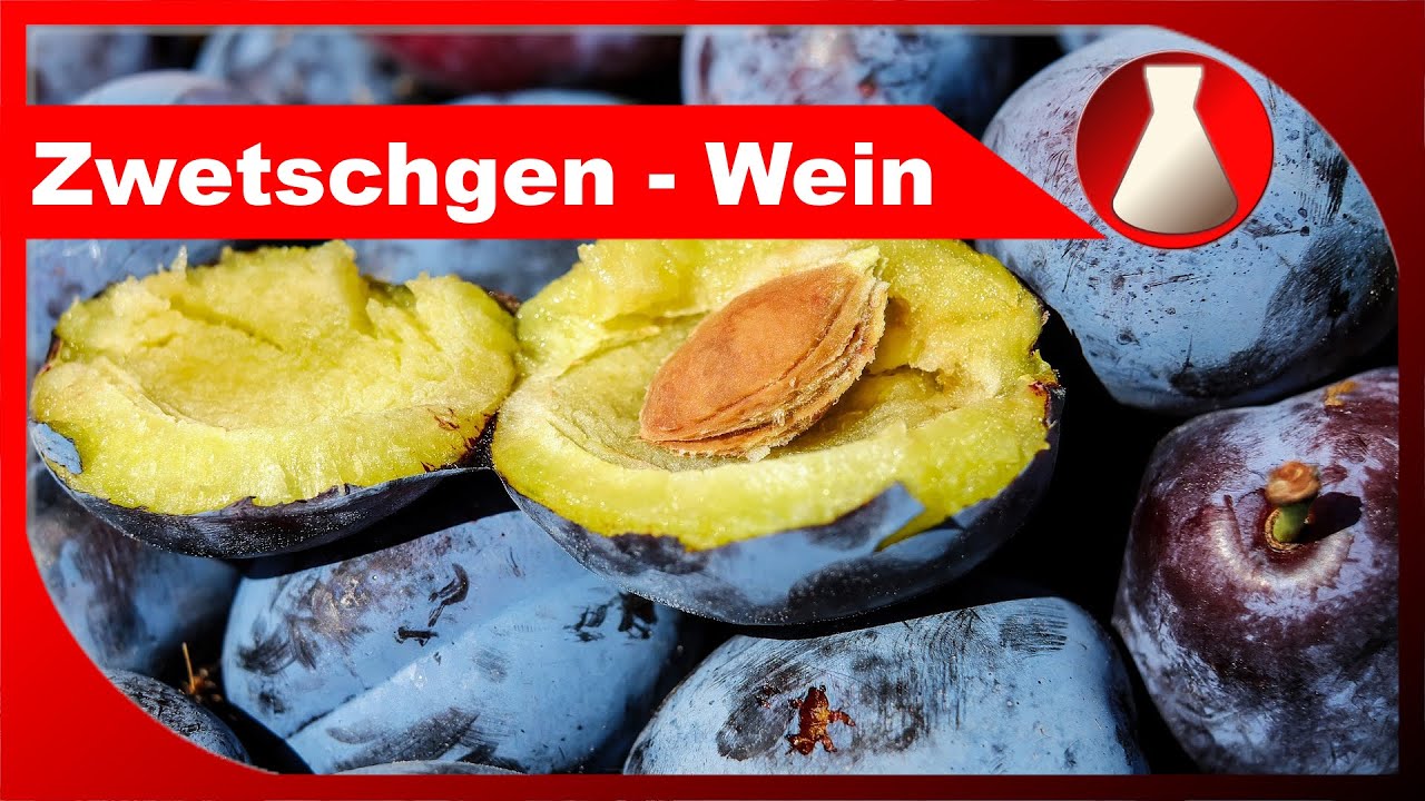 Zwetschgen-Wein selber machen - Fruchtwein machen als Hobby - Fermentastisch