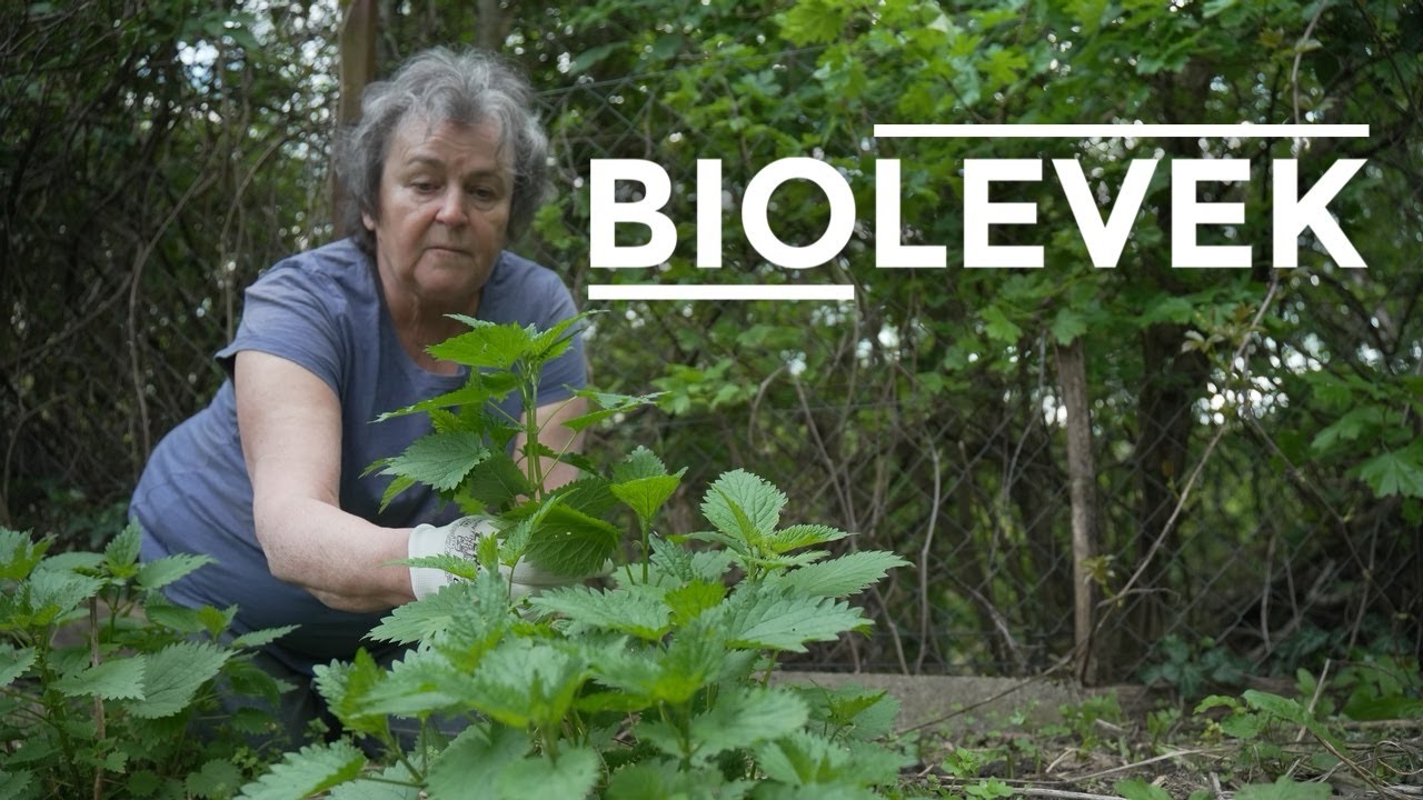 KÁRTEVŐK ELLEN - BIOLEVEK